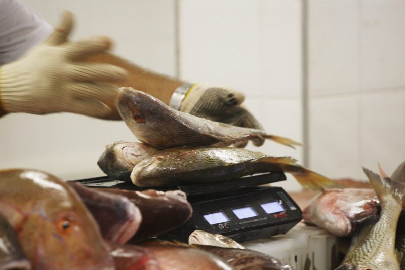 Bahia Atrai R$ 10 Milhões Em Novos Investimentos