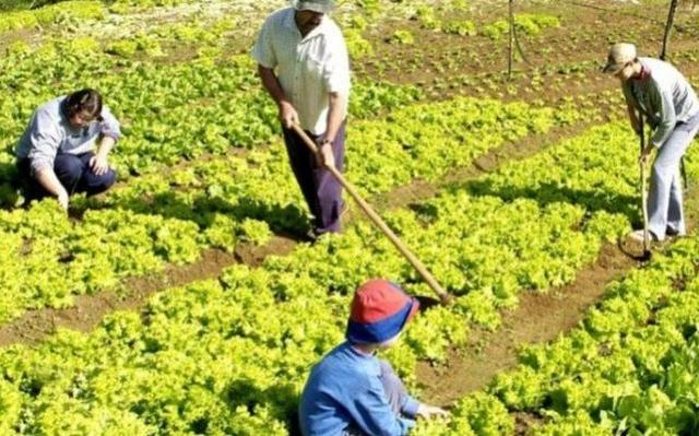 Governo Lança Edital Emergencial De R$ 15 Milhões Para Beneficiar Agricultores Familiares Baianos