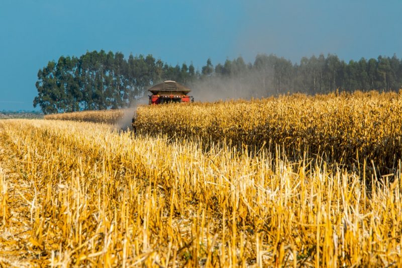 Fertimaxi Amplia Unidade Industrial Em Conceição Do Jacuípe  Com A Ampliação, O Incremento Na Produção Será De 35%