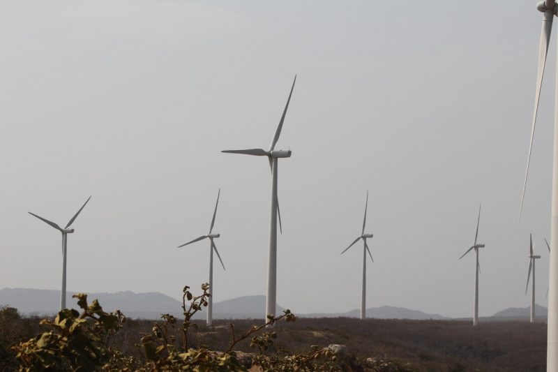 Bahia é Destaque Em Cadastramento De Projetos Em Leilões Que Ocorrem Em Junho