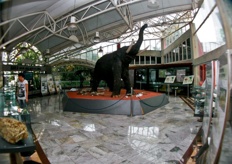 Museu Geológico Da Bahia Completa 46 Anos Com Acervo Que Revela Mundo Mágico E Descobertas Fantásticas