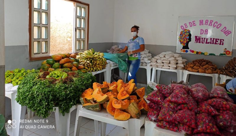 Agricultores Familiares De Sento Sé Comercializam Cerca De 12 Toneladas De Alimentos Para O PAA Emergencial