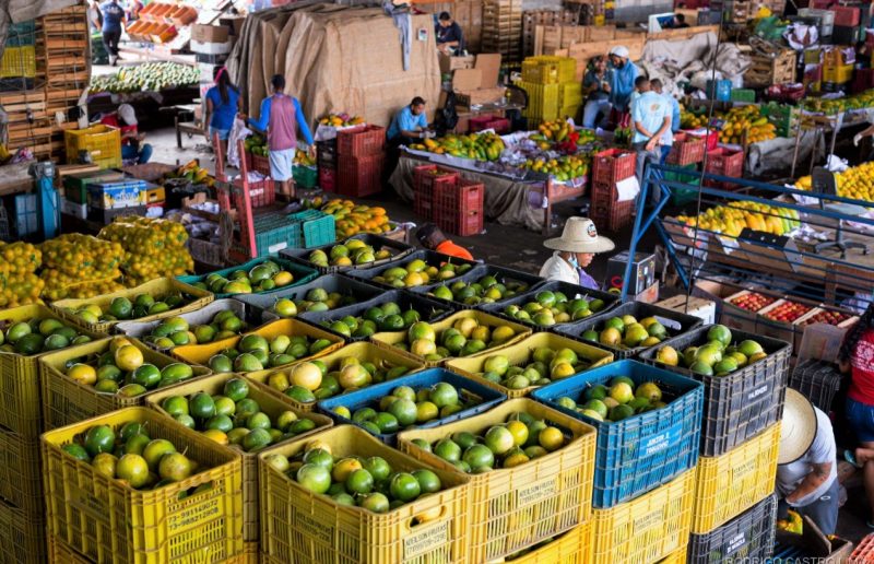 SDE Apresentará Projeto Da Concessão Da Ceasa A Permissionários