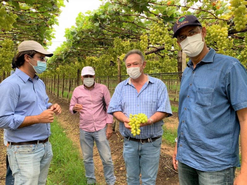 Investidor Do Oriente Médio Se Impressiona Com Potencial Sucroenergético E Viticultor Da Bahia