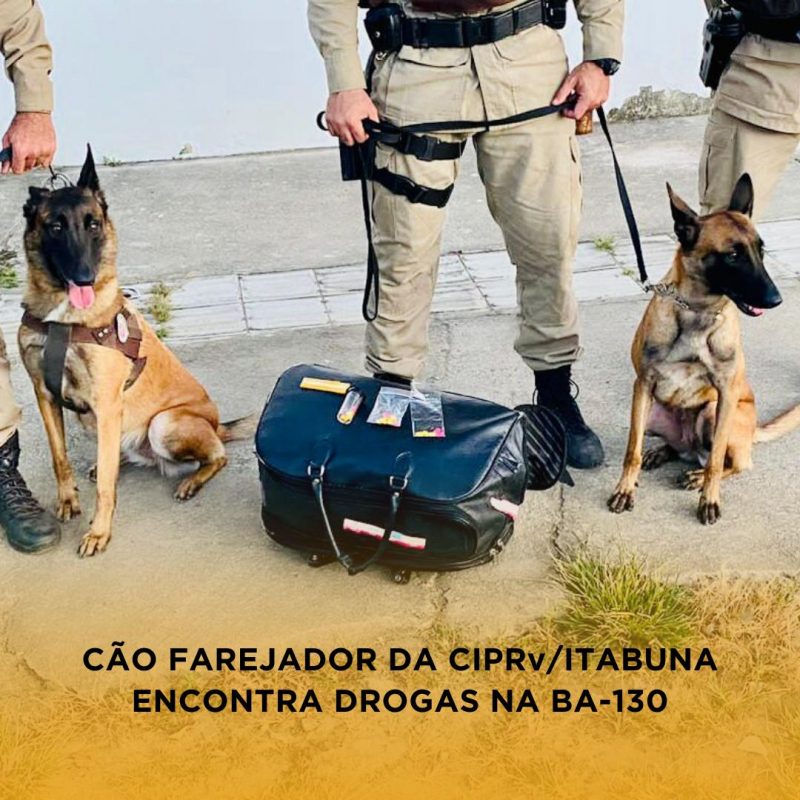 CÃO FAREJADOR DA CIPRv/ITABUNA ENCONTRA DROGAS NA BA-130