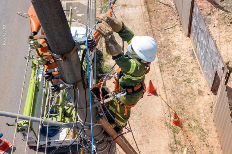 Neoenergia Coelba Realiza A Operação Gatonet Em 22 Cidades Nesta Semana; Confira A Lista